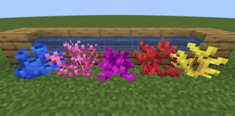 Minecraft Coral Reef