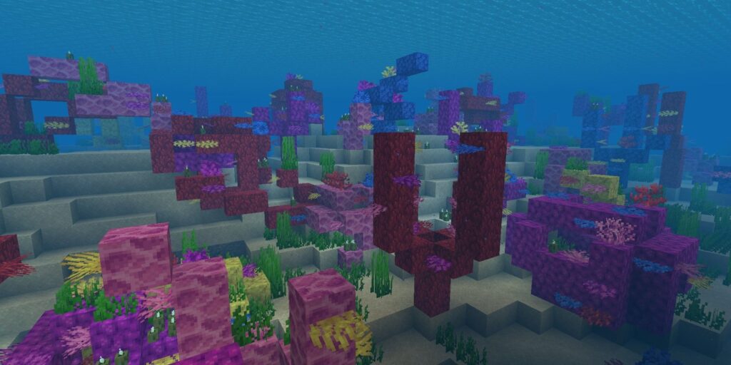 How to Find Coral Reef Minecraft